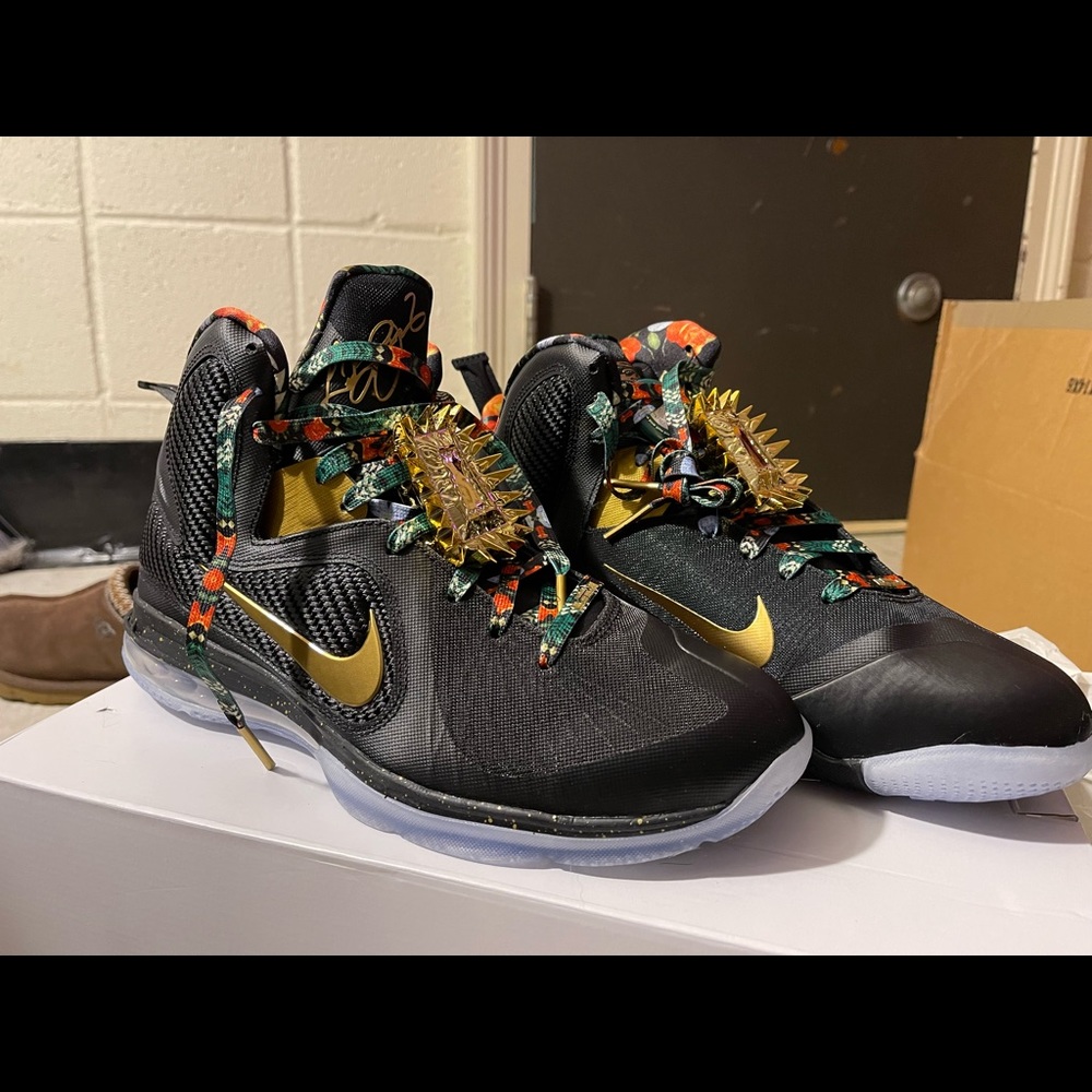 Lebron 9 Watch the Thrown
